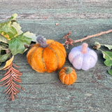Festive Felted Pumpkins :: Tuesday, October 28 ~ 5:00 - 7:00