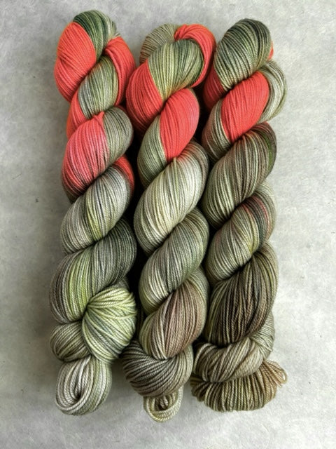 Riley Assigned Pooling Yarn from Dream in Color – Noma Knits