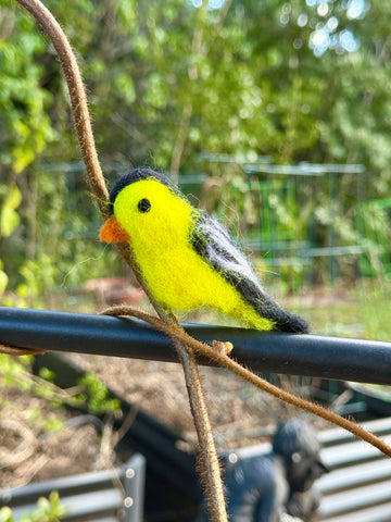 Needle Felted Birdies - Friday, March 28 ~ 4:30-6:30