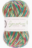 WYS Signature Sock Yarn