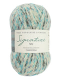 West Yorkshire Spinners Signature Sock Yarn