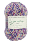 West Yorkshire Spinners Signature Sock Yarn