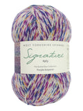West Yorkshire Spinners Signature Sock Yarn