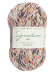 West Yorkshire Spinners Signature Sock Yarn