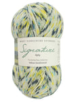 West Yorkshire Spinners Signature Sock Yarn