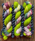 Dream in Color Sock Bundle