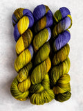 Riley Assigned Pooling Yarn from Dream in Color