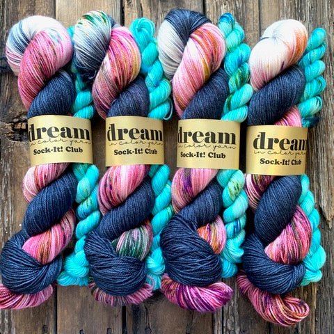 Dream in Color Sock Bundle