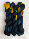 Riley Assigned Pooling Yarn from Dream in Color